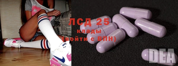 эйфоретик Аркадак