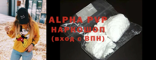 индика Приозерск