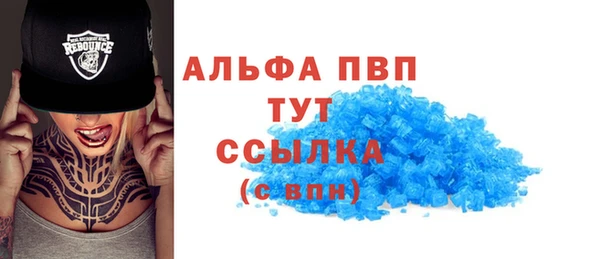 эйфоретик Аркадак