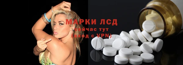 эйфоретик Аркадак