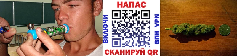 Канабис OG Kush  блэк спрут сайт  Новоалександровск 